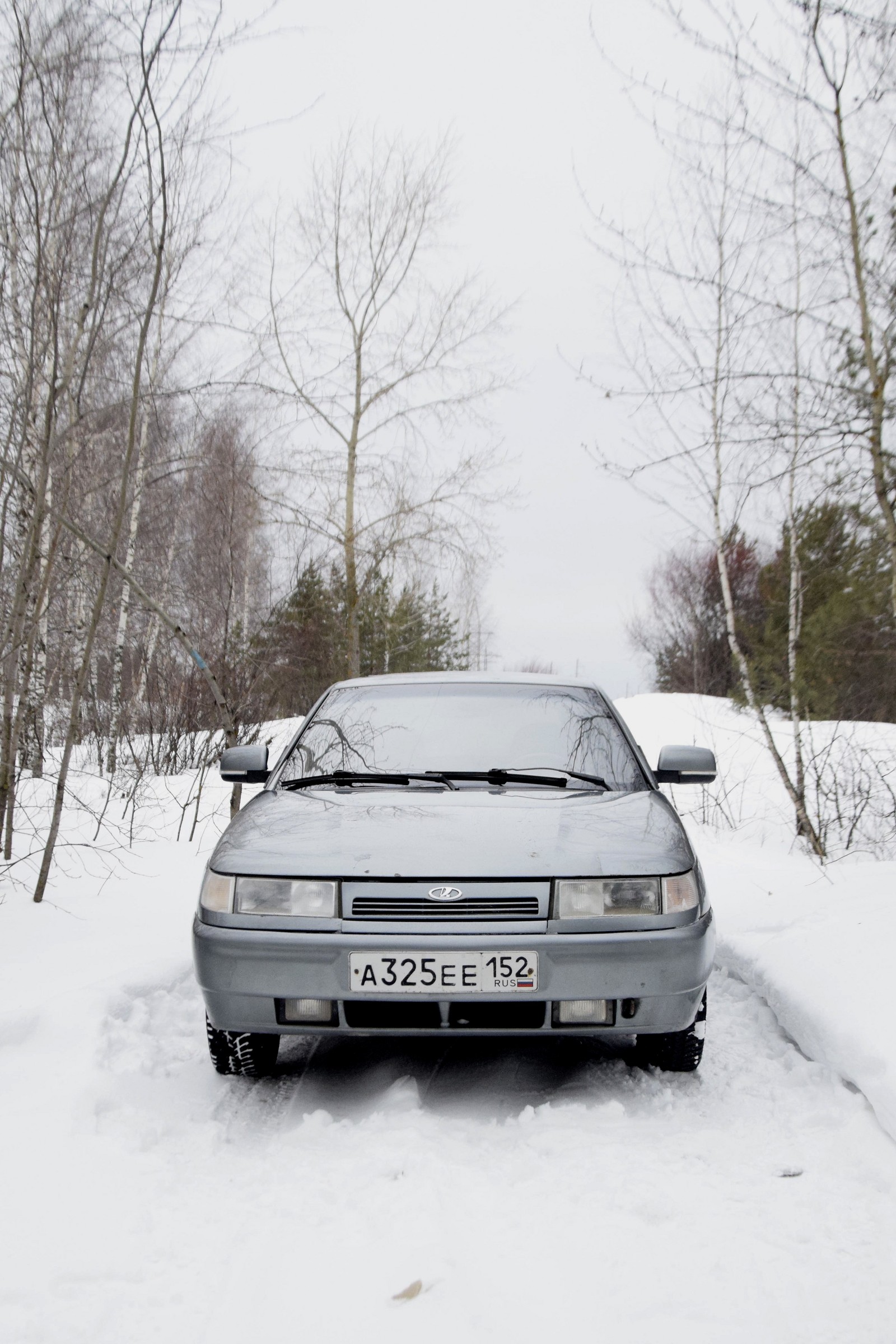 1600x2400  живые обои машиа 2112｜Поиск в TikTok