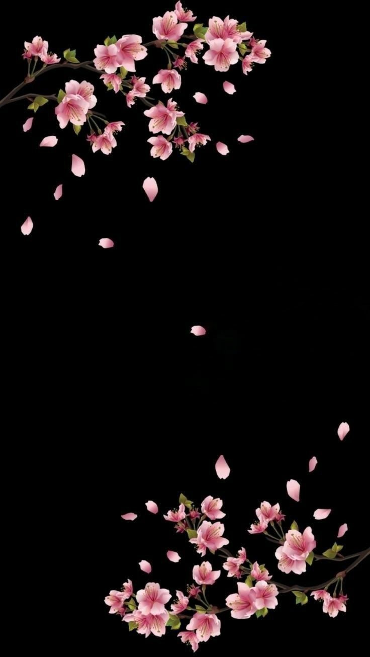 736x1306  Обои на телефон | Flower background wallpaper, Black flowers wallpaper,  Wallpaper backgrounds