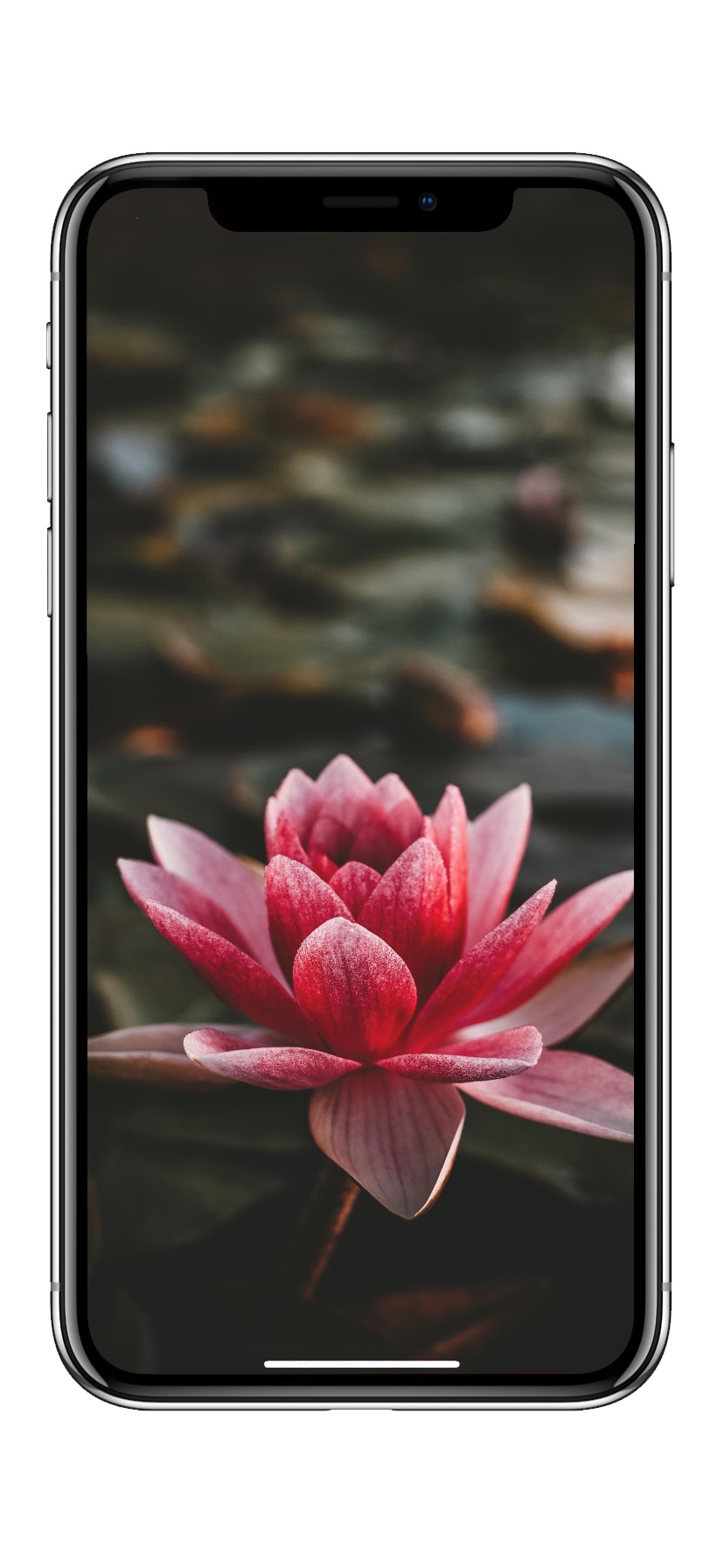 828x1792  10 красивых женских обоев для iPhone