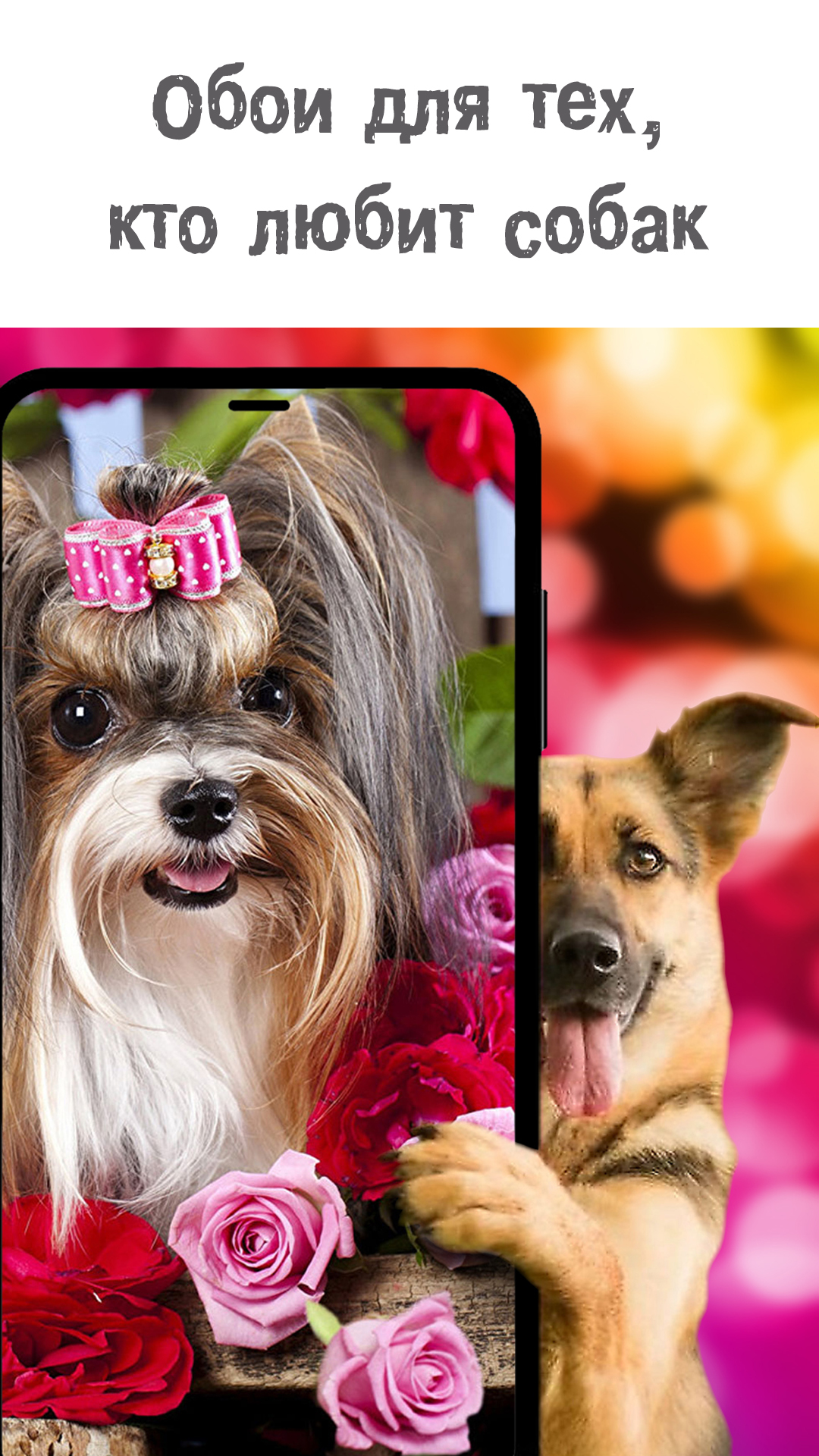 1080x1920  Собаки и щенки обои HD+