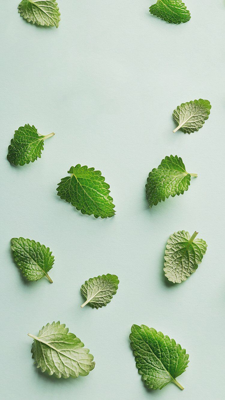 750x1334  Wallpaper iPhone ⚪️ | Мятные обои, Зеленые картины, Рисунки пузырями