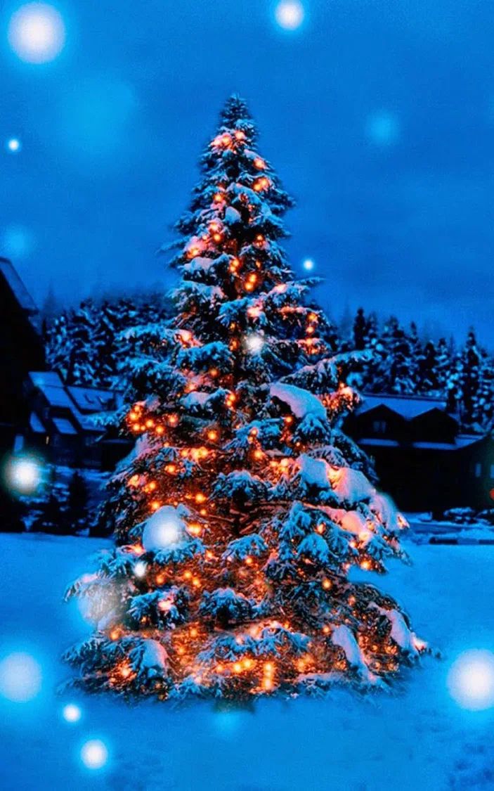 703x1125  Новогодние обои на телефон in 2023 | Christmas lights background, Christmas  wallpaper backgrounds, Christmas background