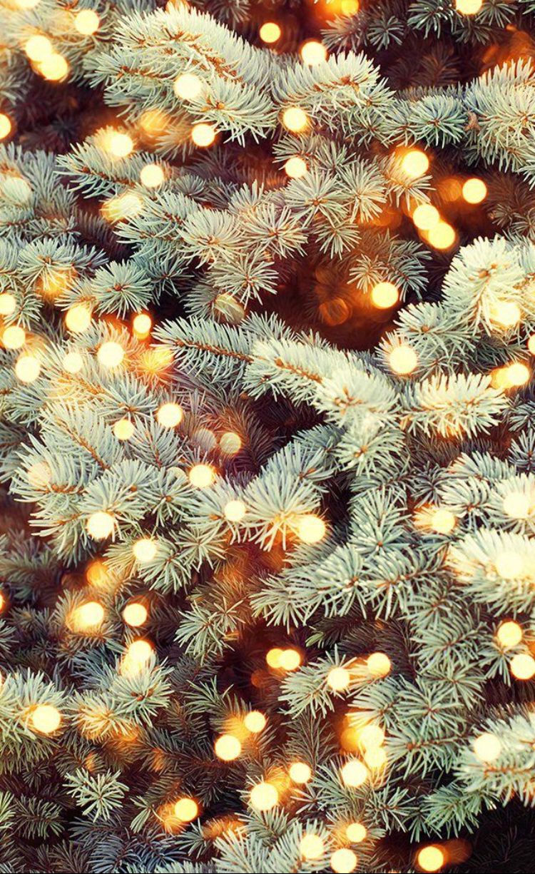 750x1225  Pin by C Marie on Winter | Christmas wallpaper, Winter wallpaper, Christmas  phone wallpaper