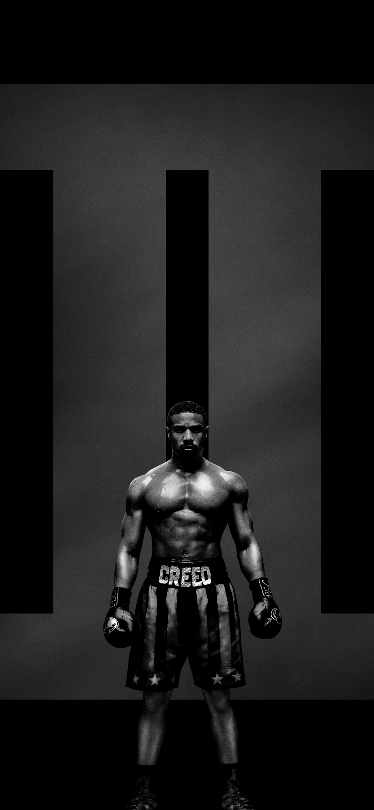 1440x3120  Скачать обои \"Бокс\" на телефон в высоком качестве, вертикальные картинки \" Бокс\" бесплатно