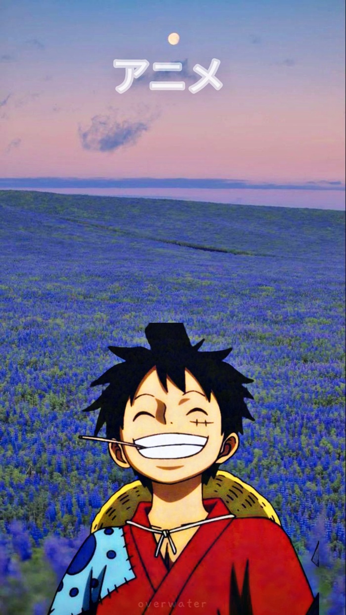 700x1243  Ван пис!: истории из жизни, советы, новости, юмор и картинки — Горячее,  страница 23 | Пикабу