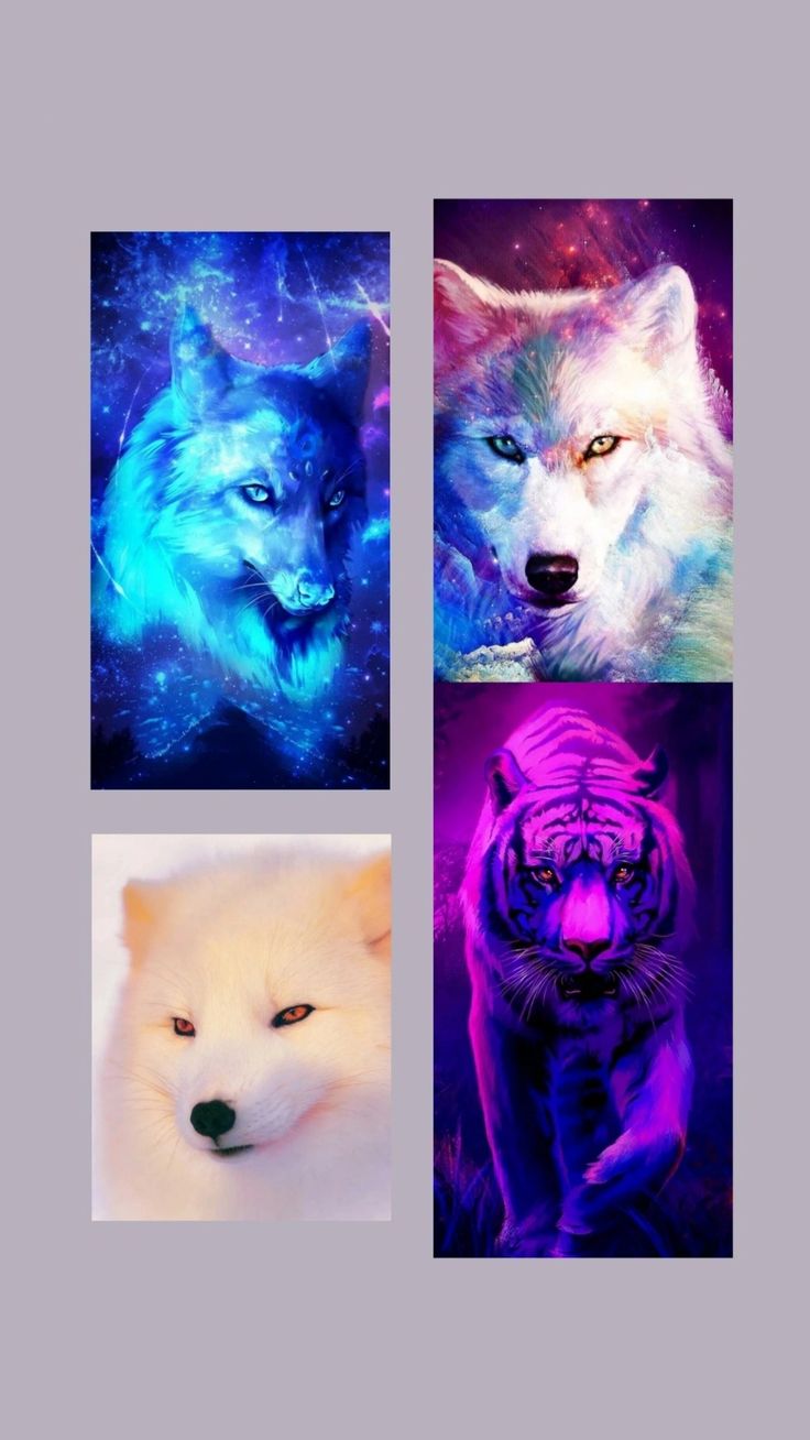 736x1308  Скачать обои \"Лиса\" на телефон в высоком качестве, вертикальные картинки \" Лиса\" бесплатно