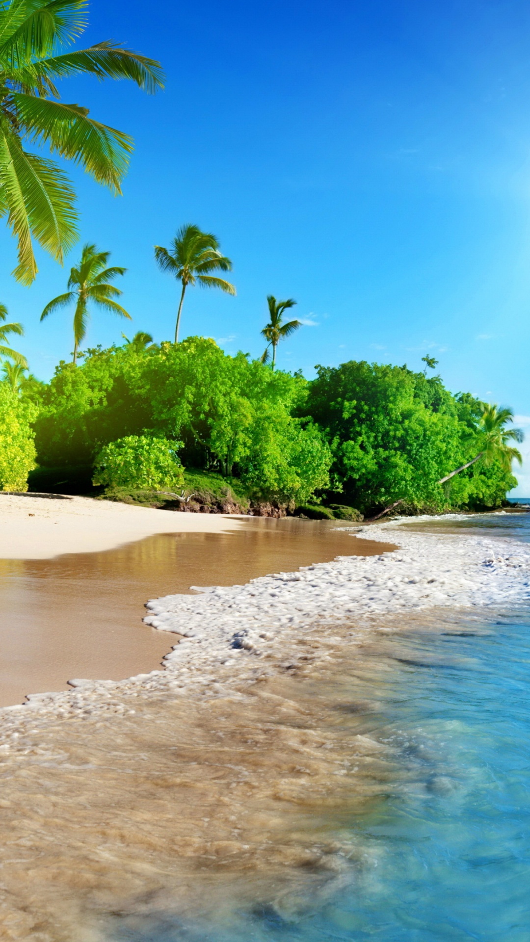 1080x1920  Обои для рабочего стола пляжи Природа Небо Пальмы 1080x1920