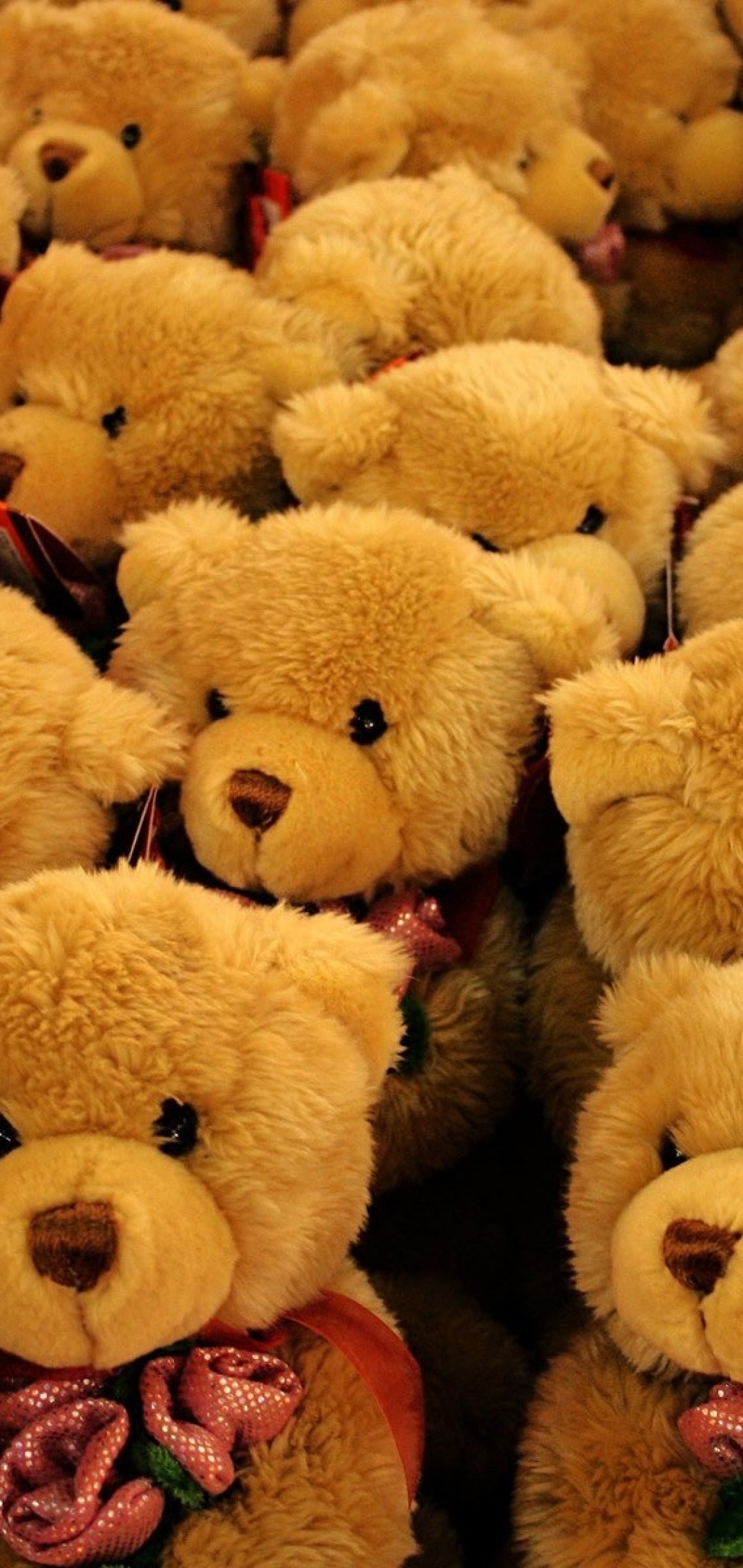 1080x2280  Плюшевый мишка обои для телефона, HD заставки и картинки на экран  блокировки 720x1280 | Akspic