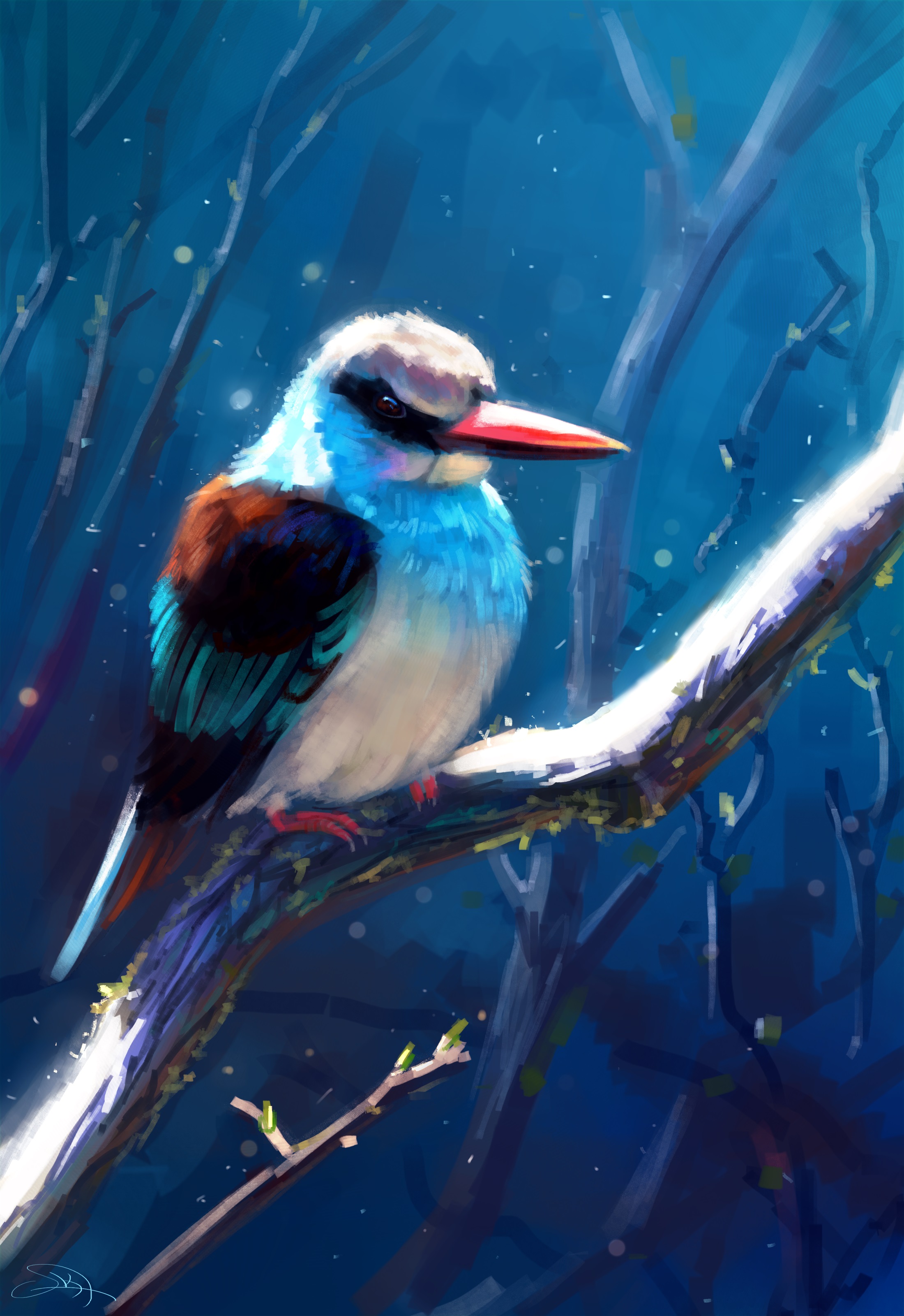 2200x3200  Фотография птица ветка животное Рисованные 2200x3200