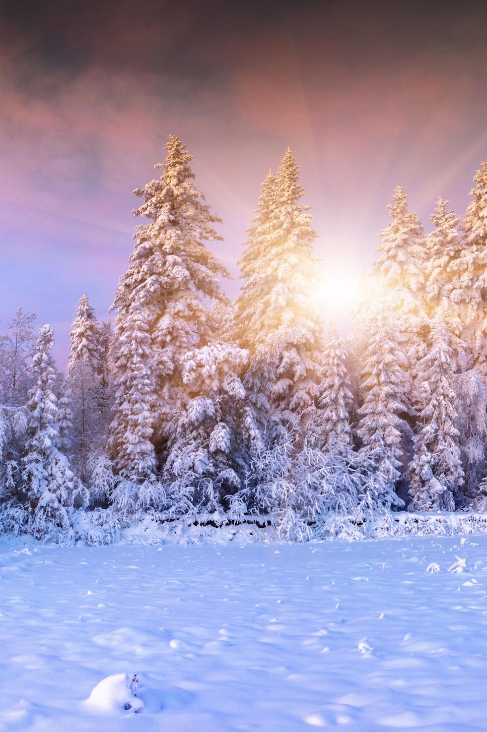 967x1452  Зимние фотографии эстетика | Фоновые рисунки, Обои для рабочего стола,  Зимние сцены