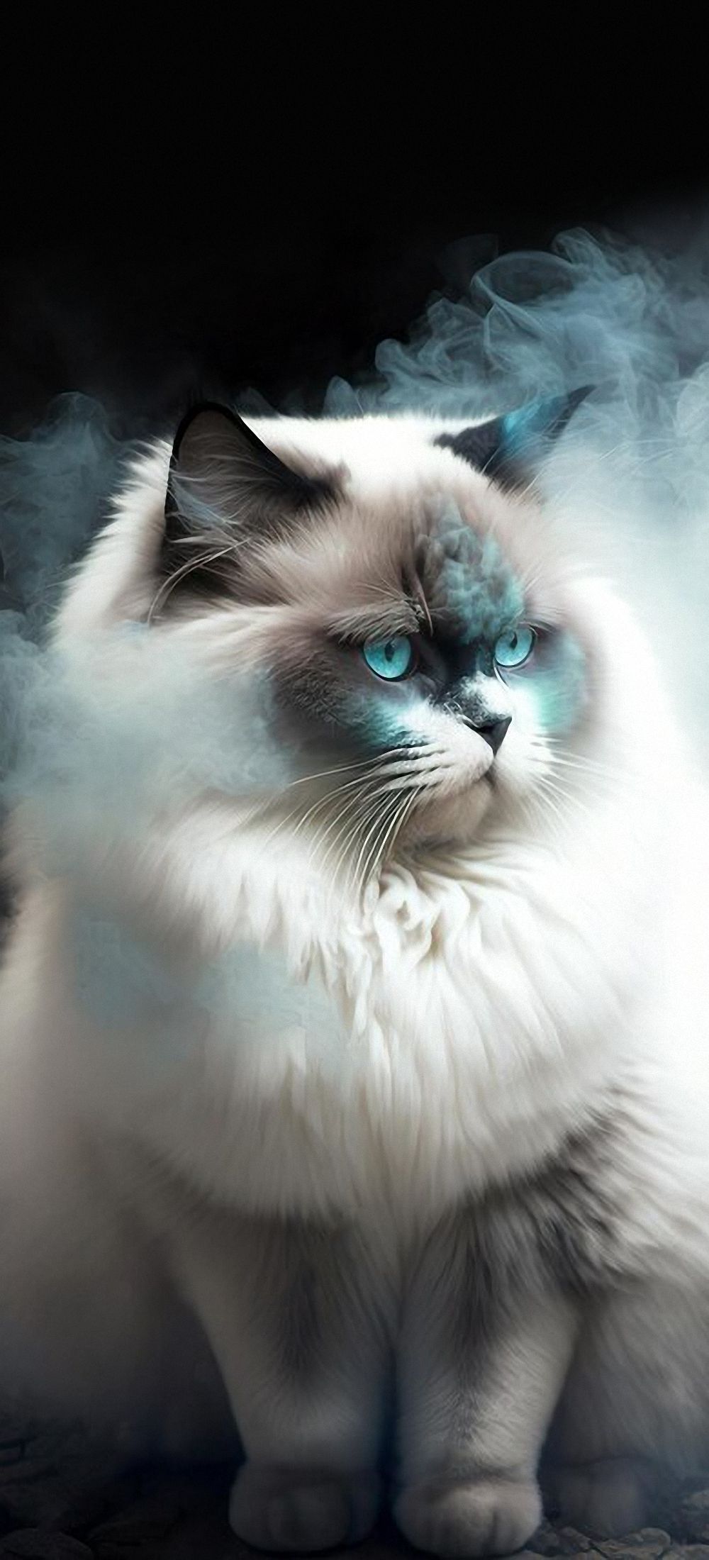 1000x2200  cats phone wallpapers in 2023 | Cat phone wallpaper, Animation art, Cats