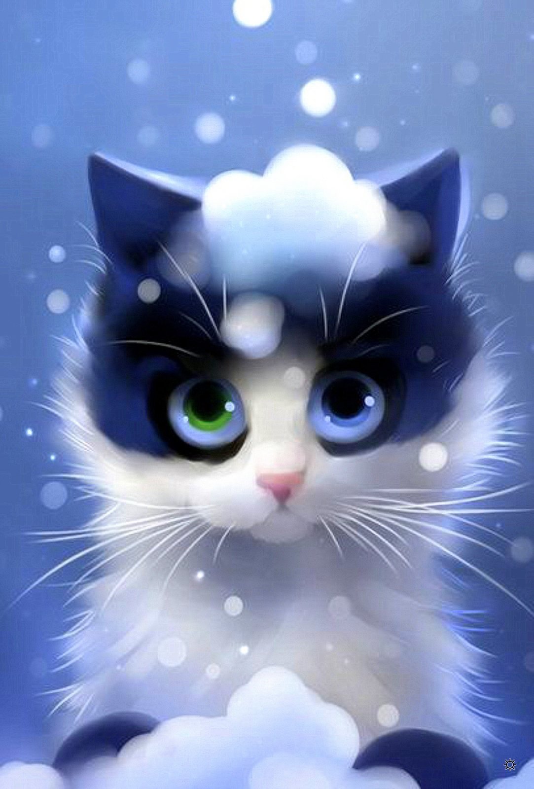 1083x1600  Красивые картинки на телефон котята - 67 фото