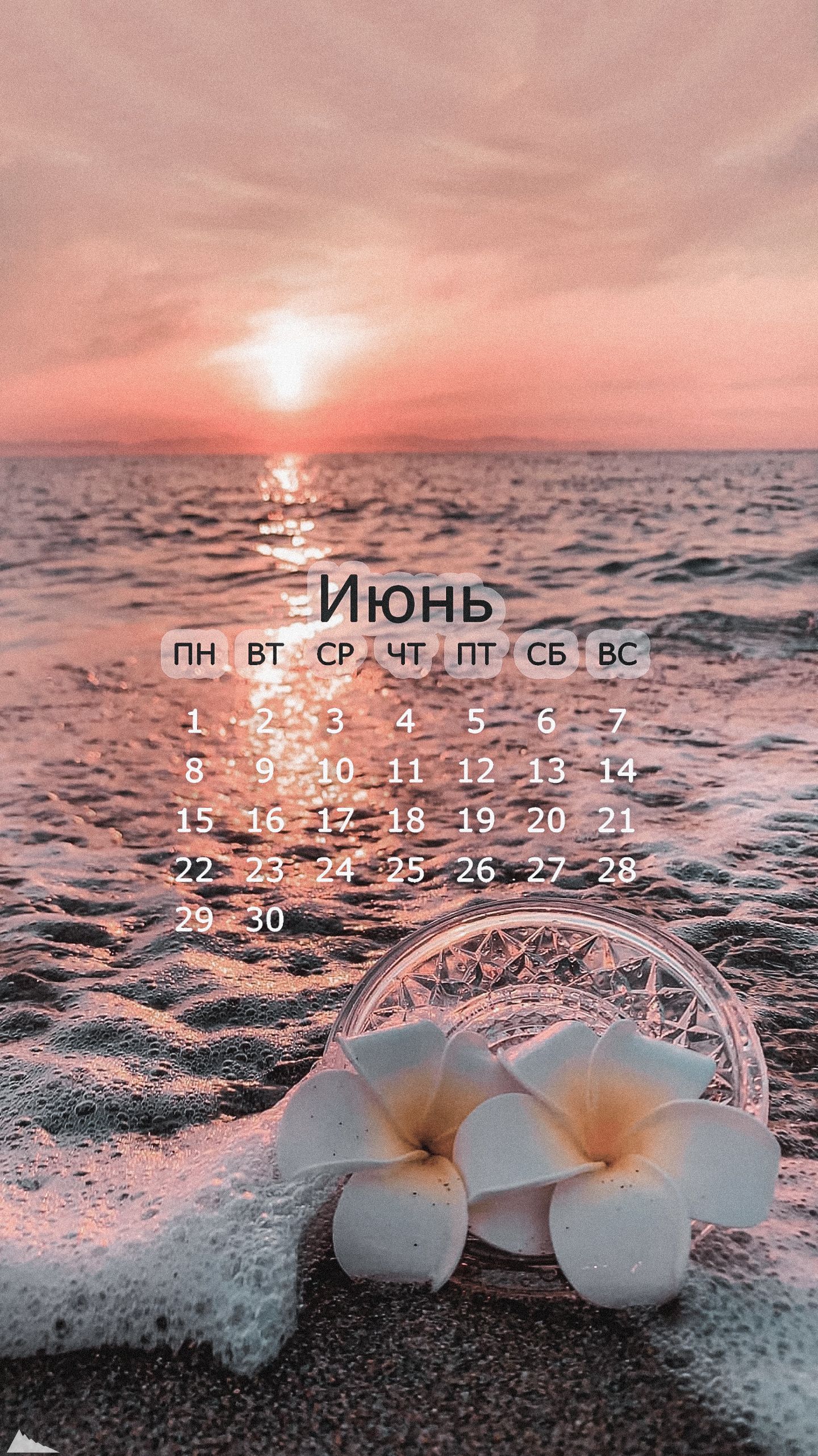 1440x2563  Обои для телефона в HD качестве | Летние картинки, Фоновые рисунки, Обои  для телефона