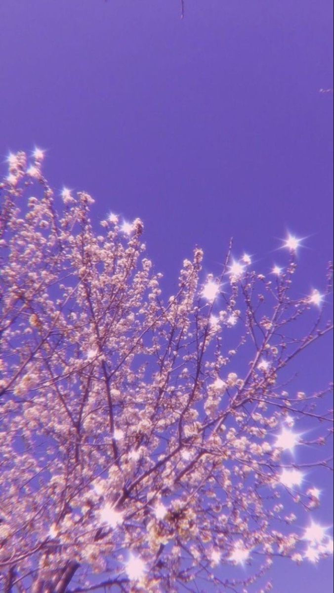 676x1200  МОДНЫЕ ОБОИ НА ТЕЛЕФОН | Pastel estético, Papel de parede roxo, Wallpapers  roxos