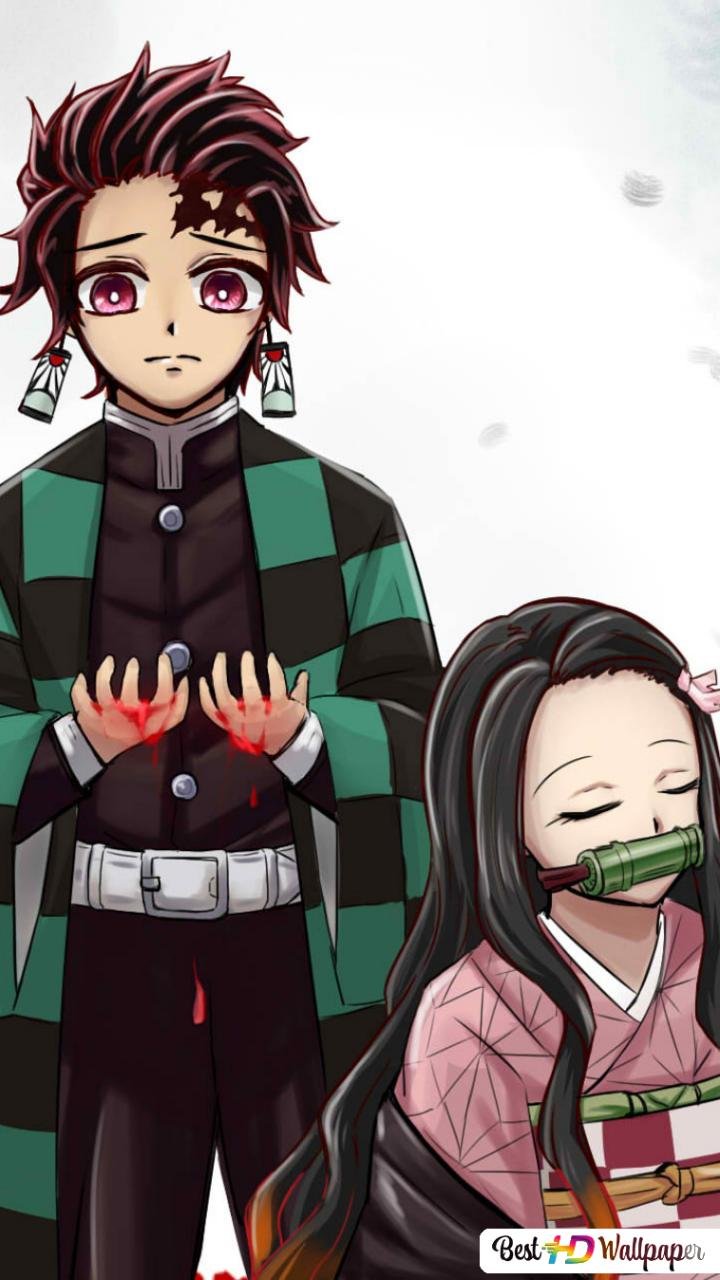 720x1280  Незуко камадо обои - 63 фото