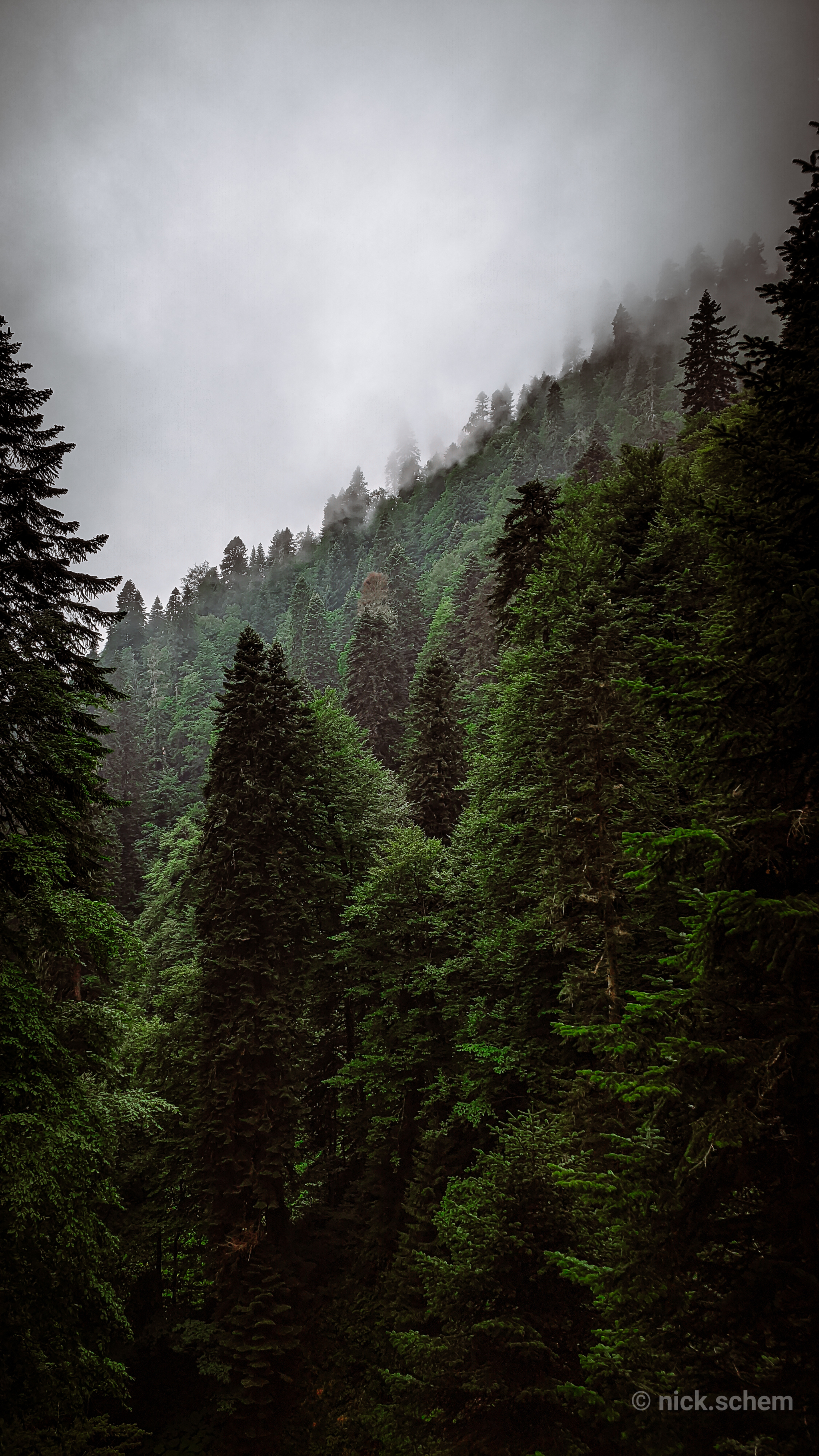 2048x3640  Обои для смартфона | Пикабу