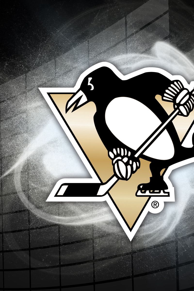 800x1200  Скачать 800x1200 хоккей, нхл, спорт, клюшка обои, картинки iphone 4s/4 for  parallax