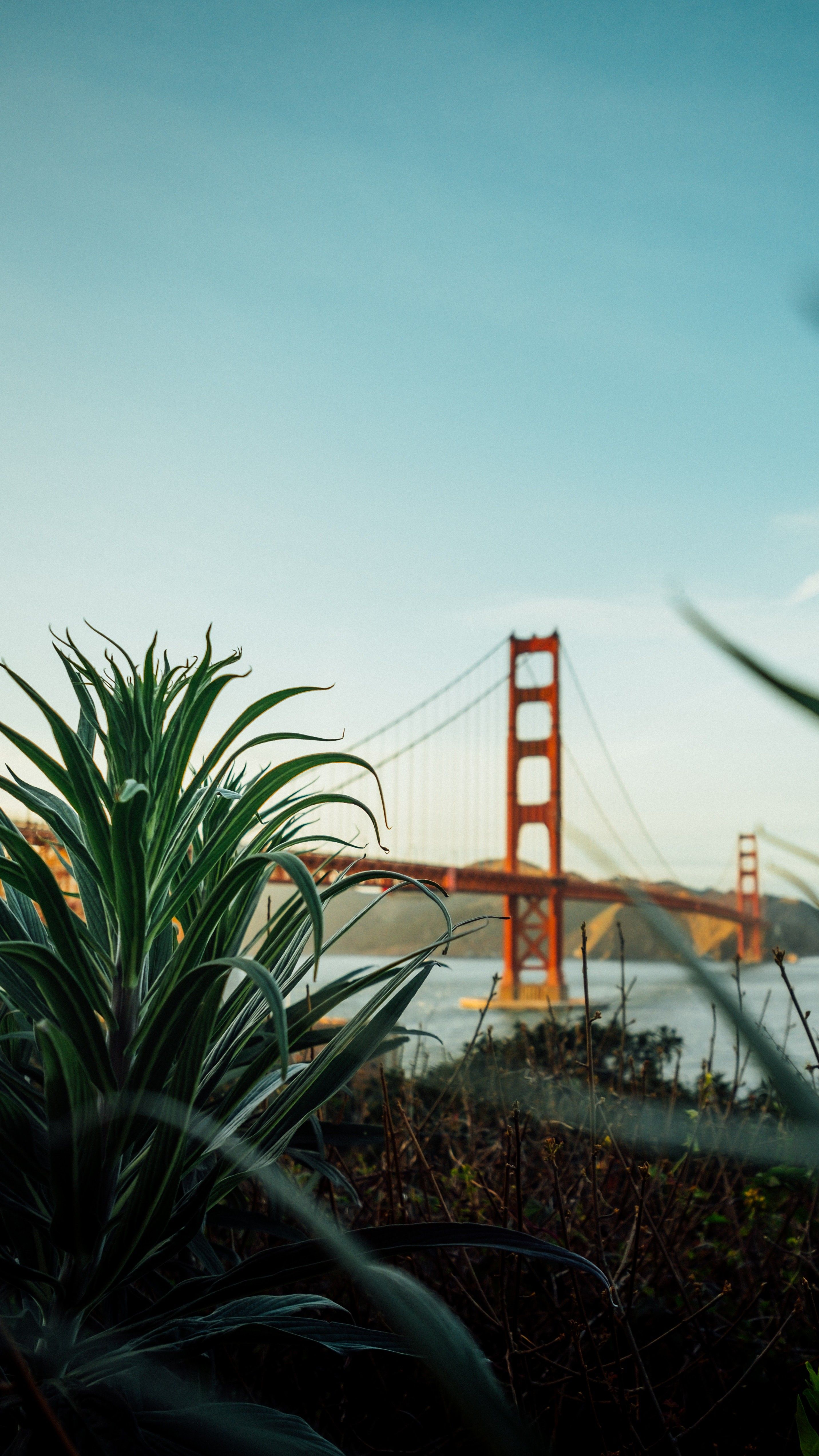 2863x5090  Wallpaper phone | Живописные фотографии, Пейзажи, Картины пейзажа