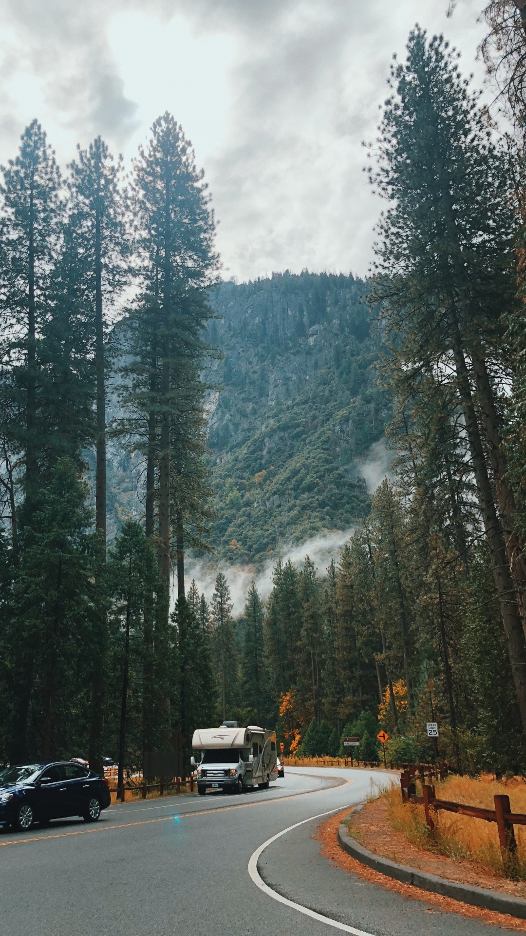 1080x1920  Обои Калифорния, США, йосемити, природа, Хвойные на телефон Android,  1080x1920 картинки и фото бесплатно