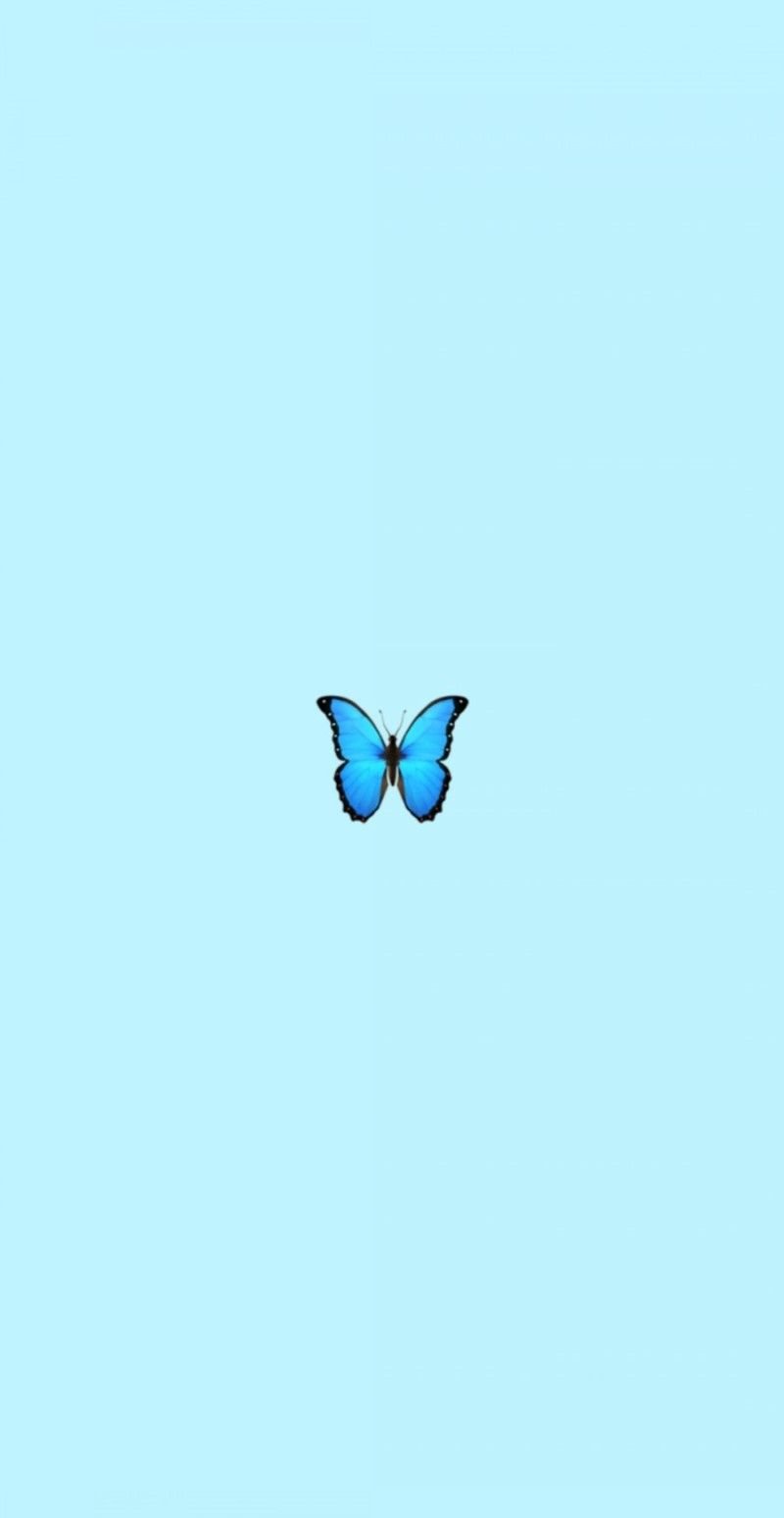 800x1548  Обои на телефон голубой цвет - фото и картинки: 64 штук