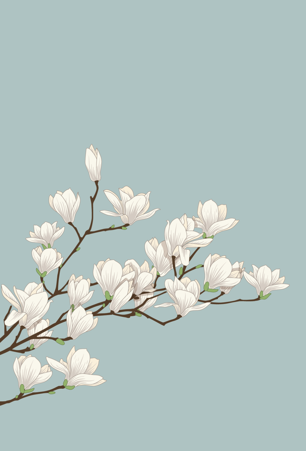 1200x1765  Фон цветы Минимализм - 67 фото