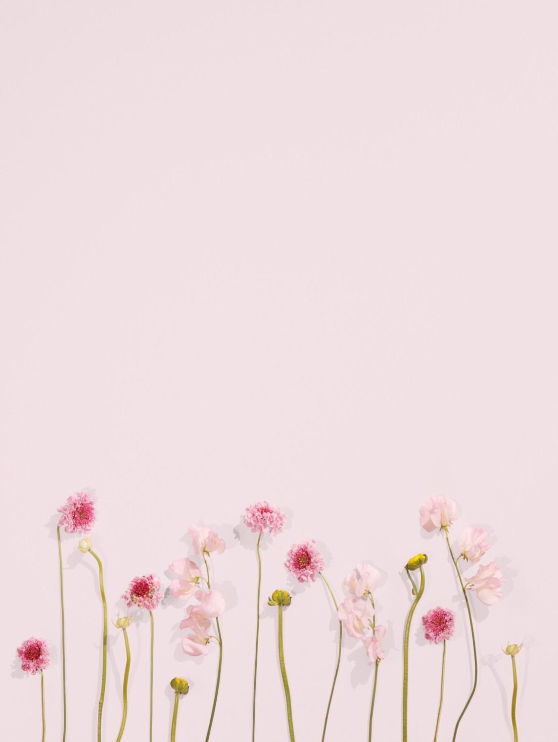 1128x1499  Однотонные картинки на телефон вертикальные - 69 фото