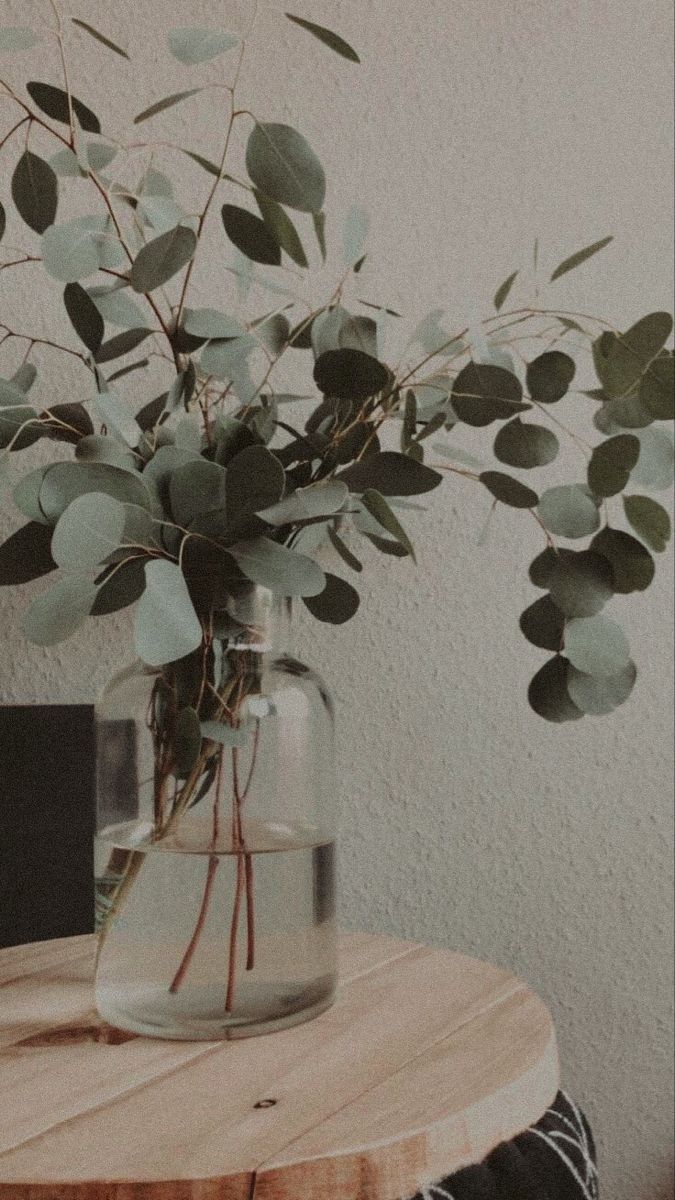 675x1200  Скачать 1080x1920 гипсофила, цветы, ваза, минимализм обои, картинки samsung  galaxy s4, s5, note, sony xperia z, z1, z2, z3, htc one, lenovo vibe