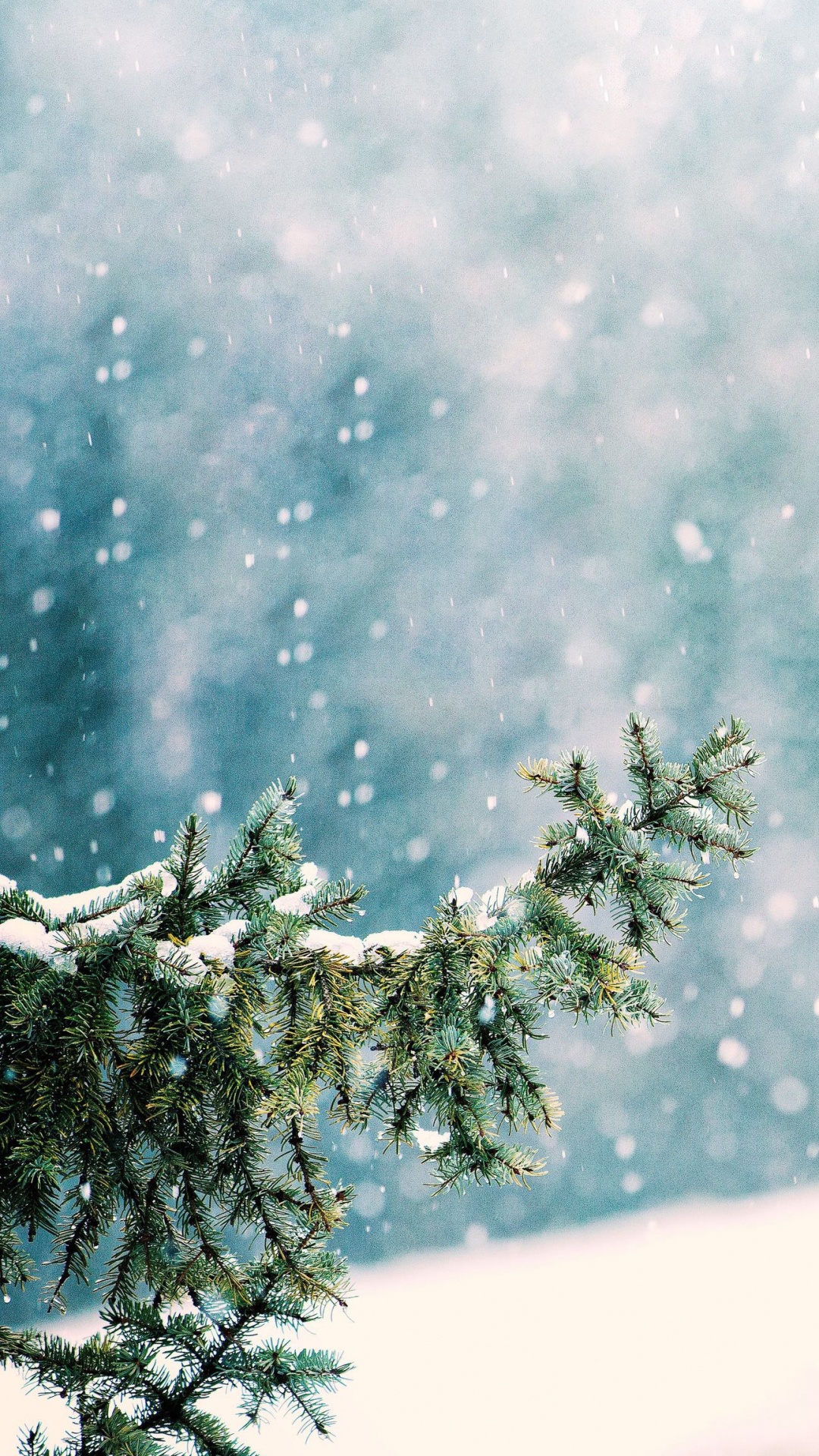 1080x1920  Обои снег, атмосфера, ветвь, мир, природный ландшафт на телефон Android,  1080x1920 картинки и фото бесплатно