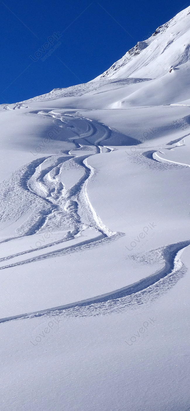 650x1407  Белый снег обои для мобильного телефона изображение_Фото номер  400877445_JPG Формат изображения_ru.lovepik.com