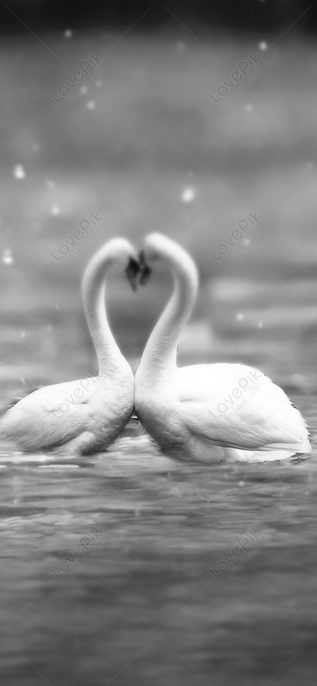 650x1407  Любовь обои для мобильного телефона изображение_Фото номер 400318718_JPG  Формат изображения_ru.lovepik.com