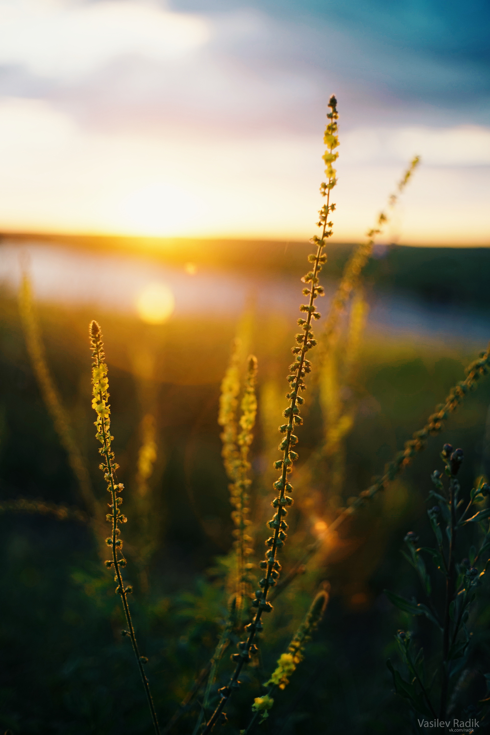 1600x2400  Один закат и один рассвет на пруду близ Абашево | Пикабу