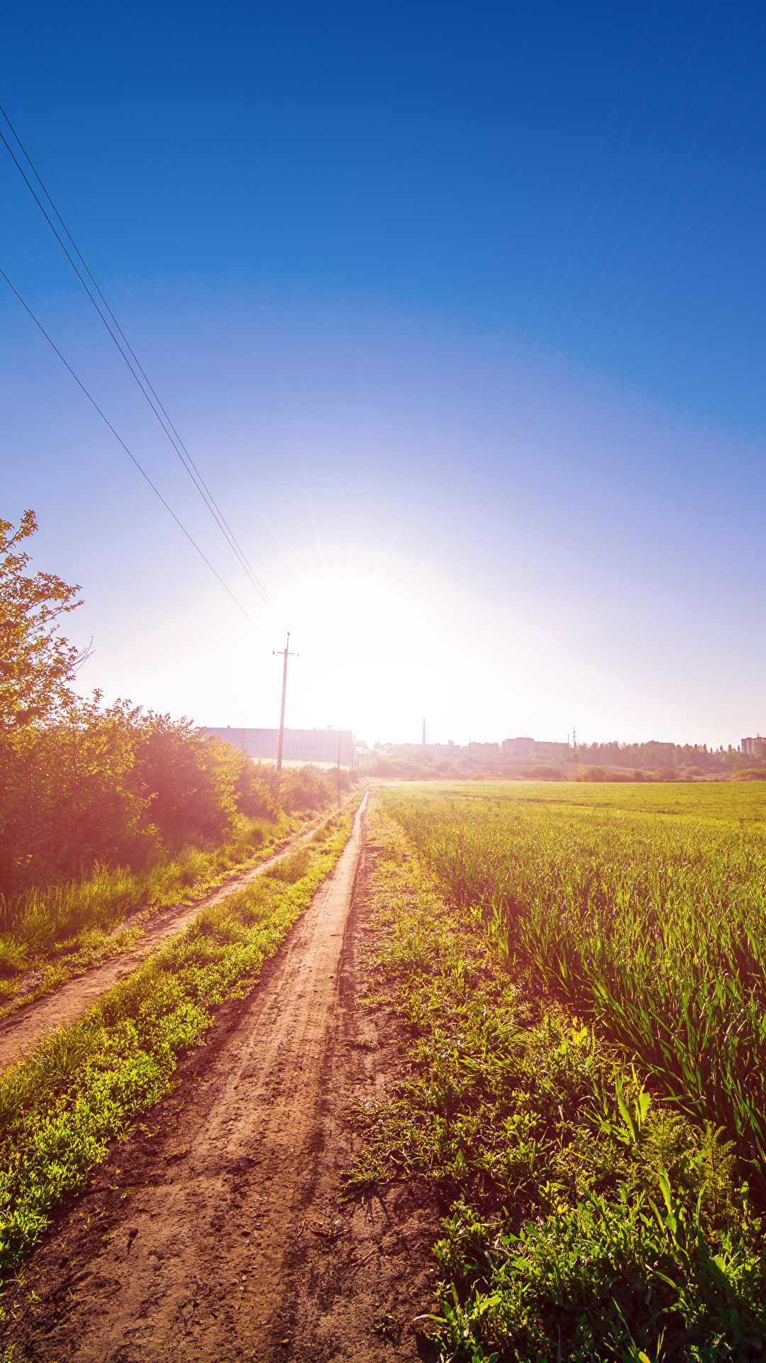 1080x1920  Фотографии Природа Поля Дороги Рассветы и закаты 1080x1920