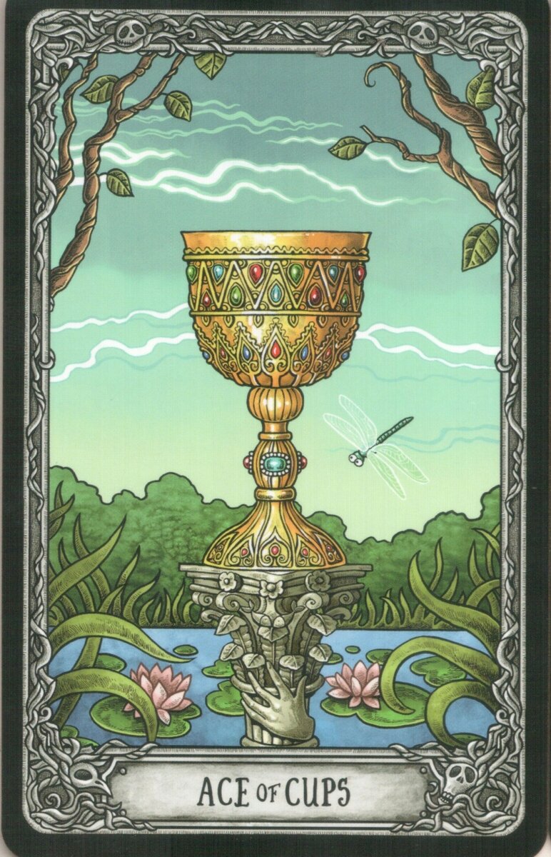 772x1200  Обои с надписью | Надписи, Обои victoria secret, Надпись на доске