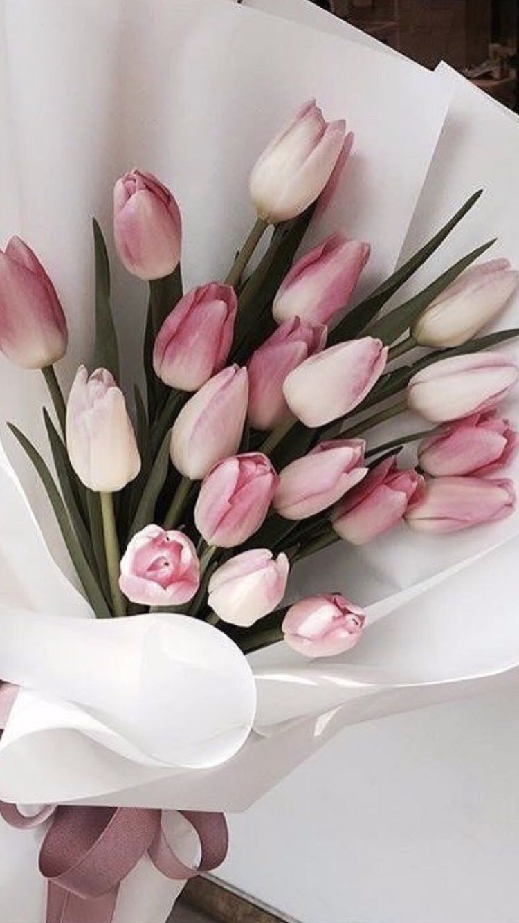 750x1334  Pin by 💛 on Ծաղիկներ | Luxury flowers, Beautiful flowers, Pink tulips
