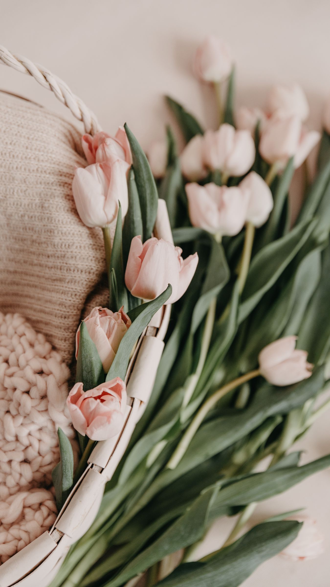 1350x2400  Скачать 1350x2400 тюльпаны, букет, корзинка, розовые, цветы, весенний обои,  картинки iphone 8+/7+/6s+/6+ for parallax