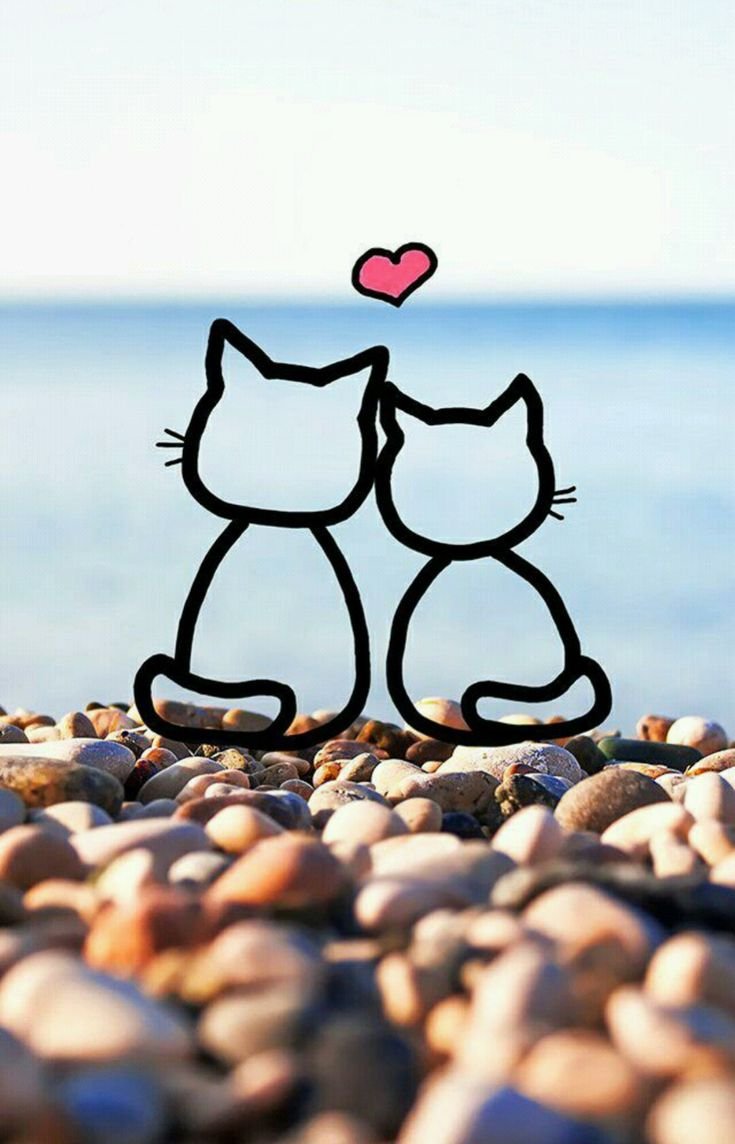 735x1144  Позитивные заставки на телефон - 71 фото