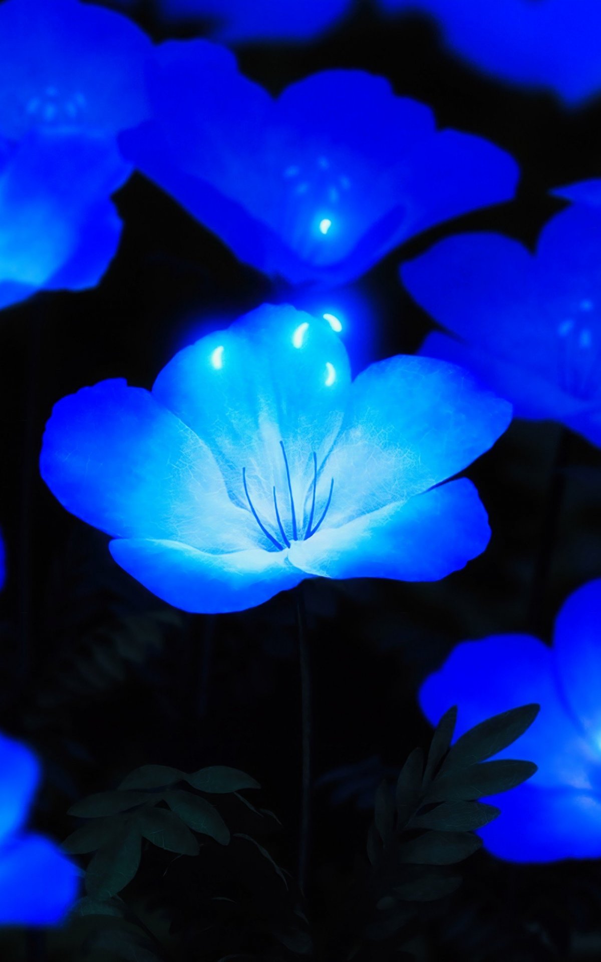 1200x1920  Светящиеся обои на телефон - 73 фото