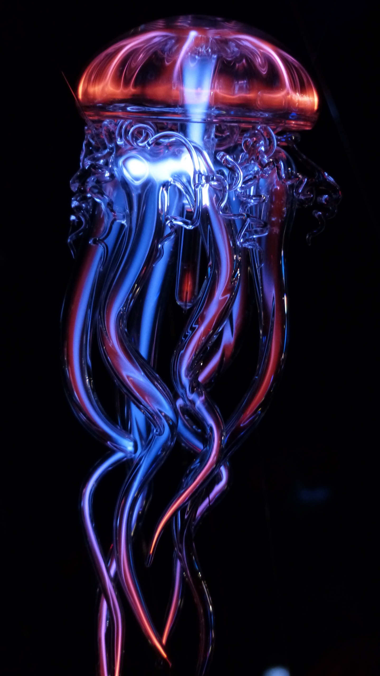 1440x2560  Обои на телефон медуза, стеклянный, свет, искусственный, щупальца,  светящийся - скачать бесплатно в высоком качестве из категории \"Разное\"