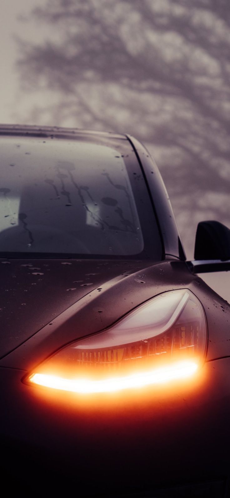 736x1592  Tesla release set of official wallpaper for your smartphone - MSPoweruser