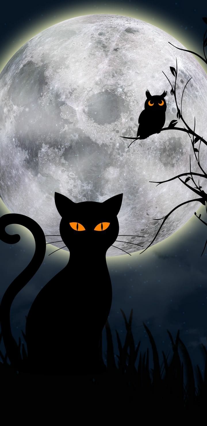 720x1480  Крутые обои на телефон HD Wallpapers – скачать приложение для Android –  Каталог RuStore