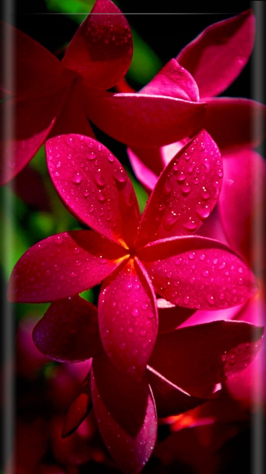 1080x1920  Черный мрамор обои айфон 3d обои для телефона обои на блокировку экрана  живые обои андроид обои для em 2023 | Papeis de parede, Artes