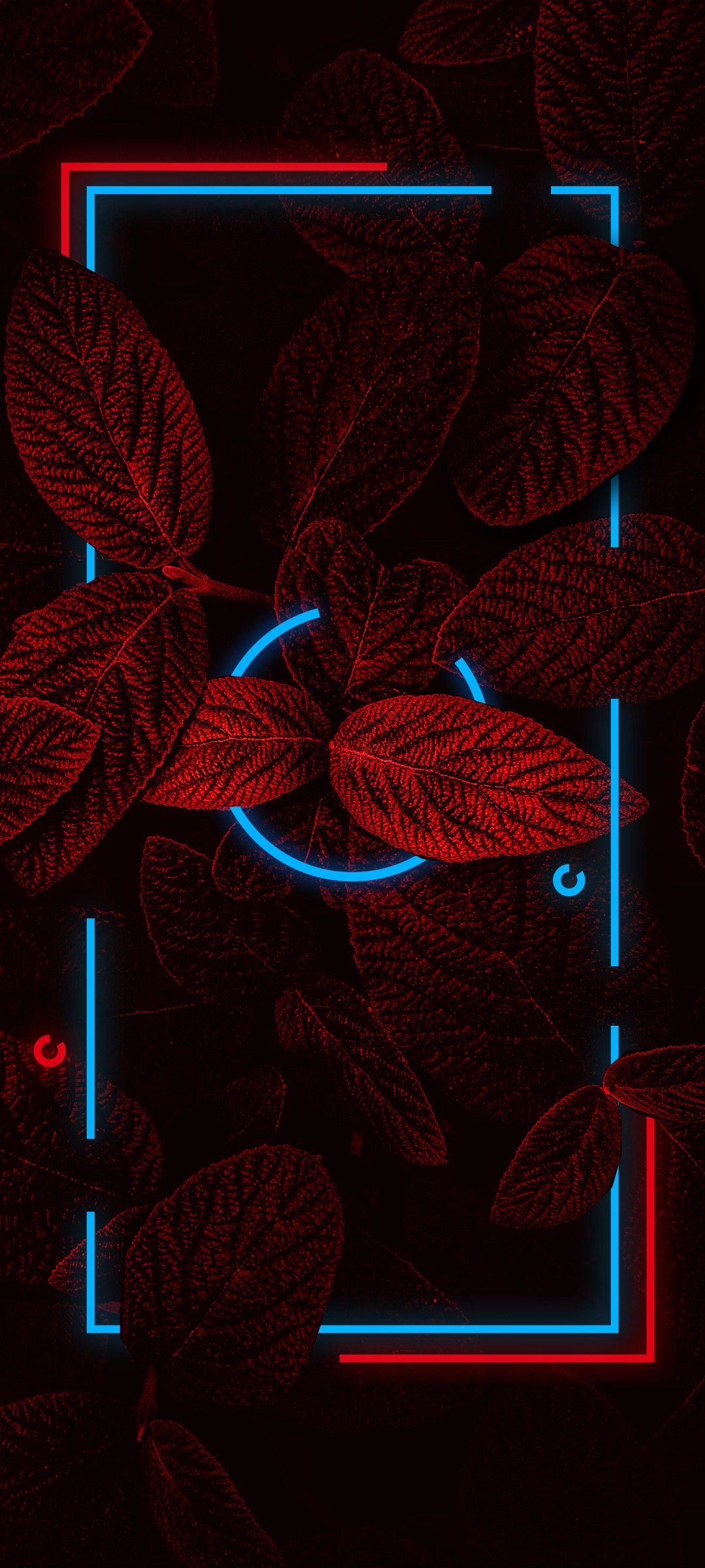 1080x2400  Hd 4k wallpaper | Геометрический постер, Неоновые изделия, Графические обои