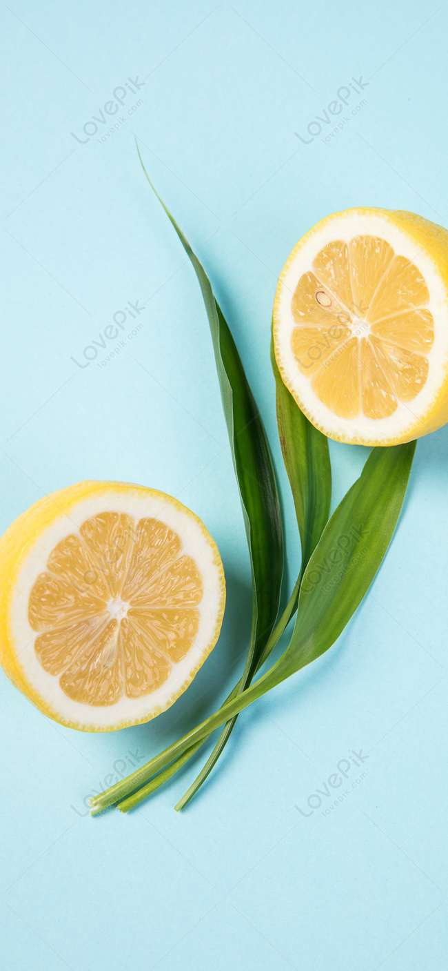 650x1407  Маленький свежий лимонный мобильный телефон обои изображение_Фото номер  400426062_JPG Формат изображения_ru.lovepik.com