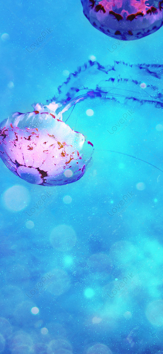 650x1407  Модные мобильные обои изображение_Фото номер 400469879_JPG Формат  изображения_ru.lovepik.com