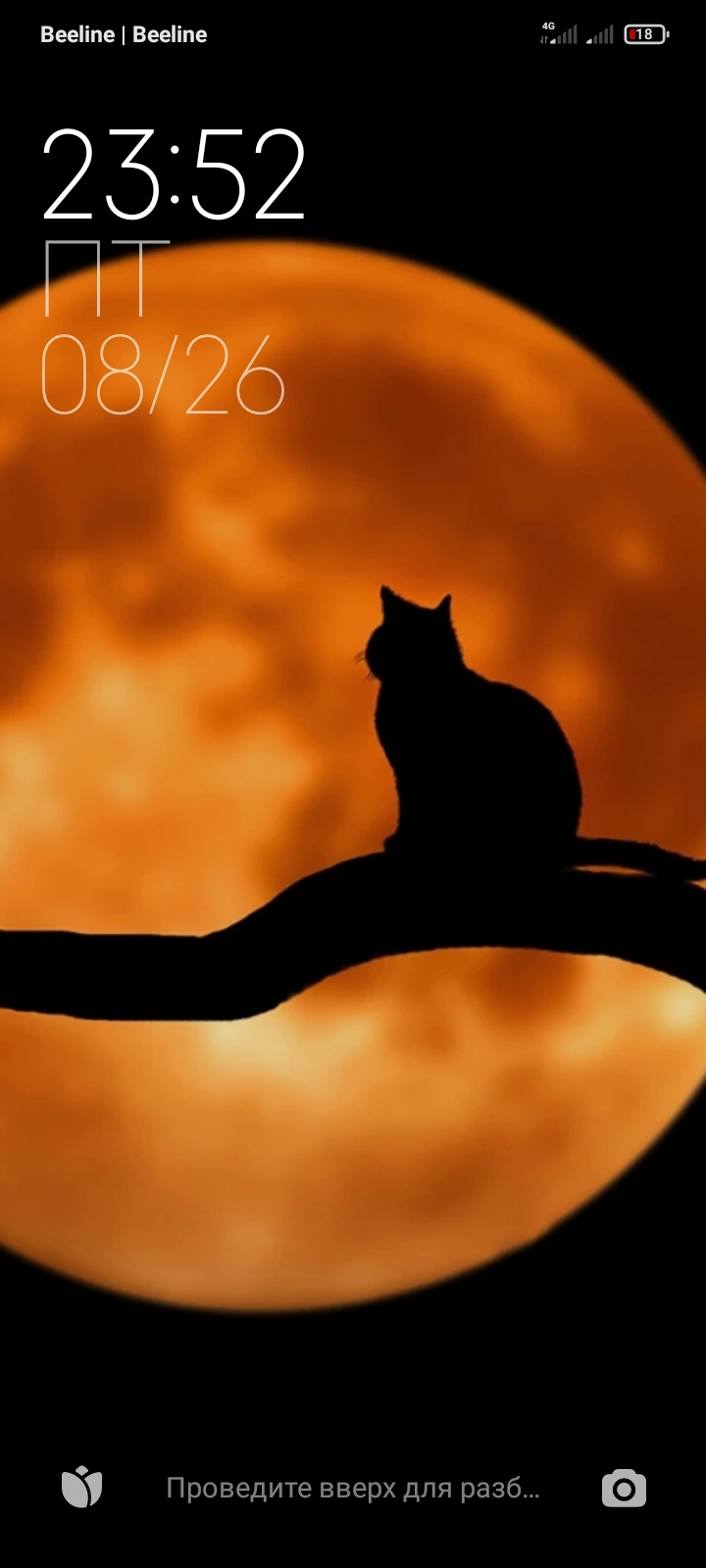 720x1600  Мой телек _всегда | Пикабу