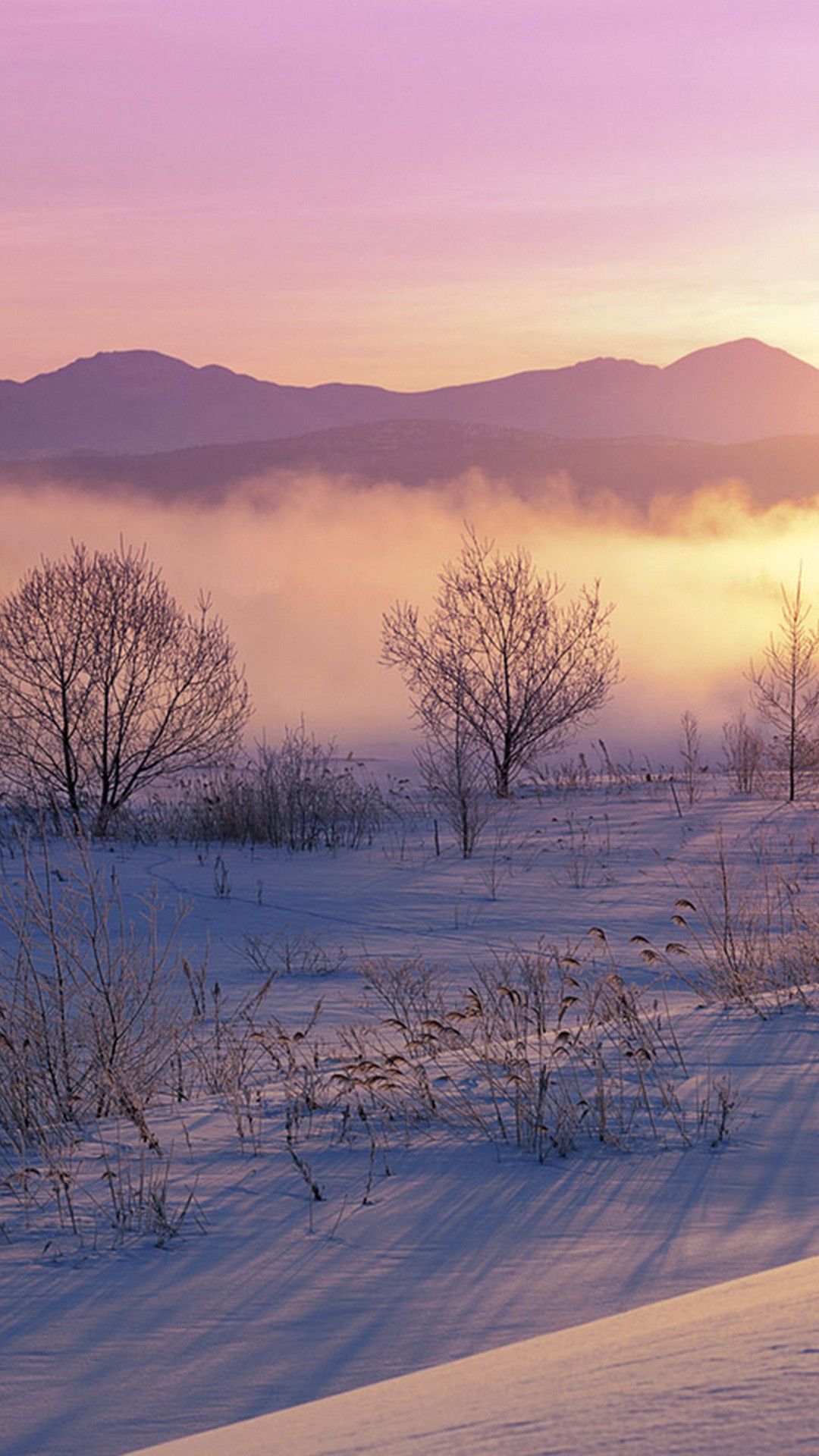 1080x1920  Обои для Iphone 13 - RuWallpaper