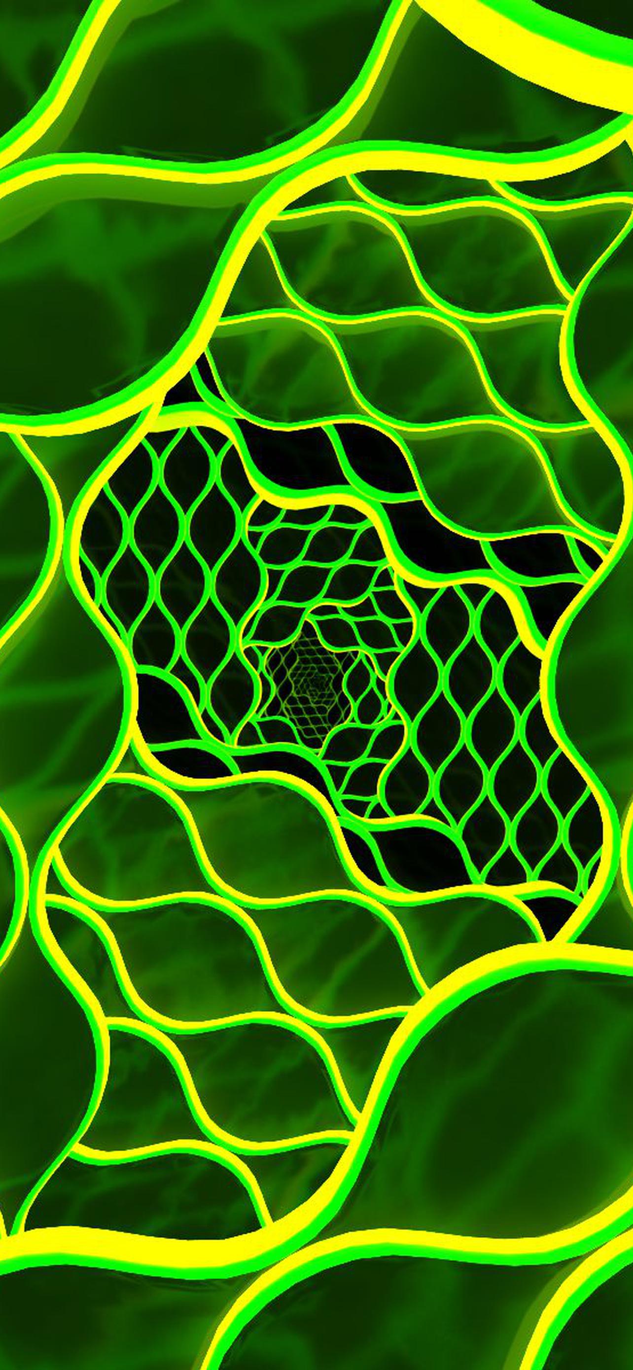 1284x2778  240 на 320 обои на телефон [32+ изображений]