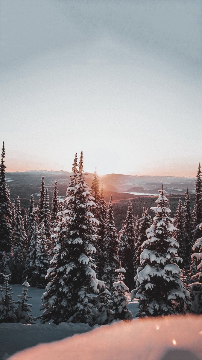 675x1200  обои tumblr, обои iOS, обои iphone, обои iphone5, обои iphone XS, обои для  iphone 11, обои на айф… | Winter wallpaper, Winter backgrounds iphone,  Pretty landscapes