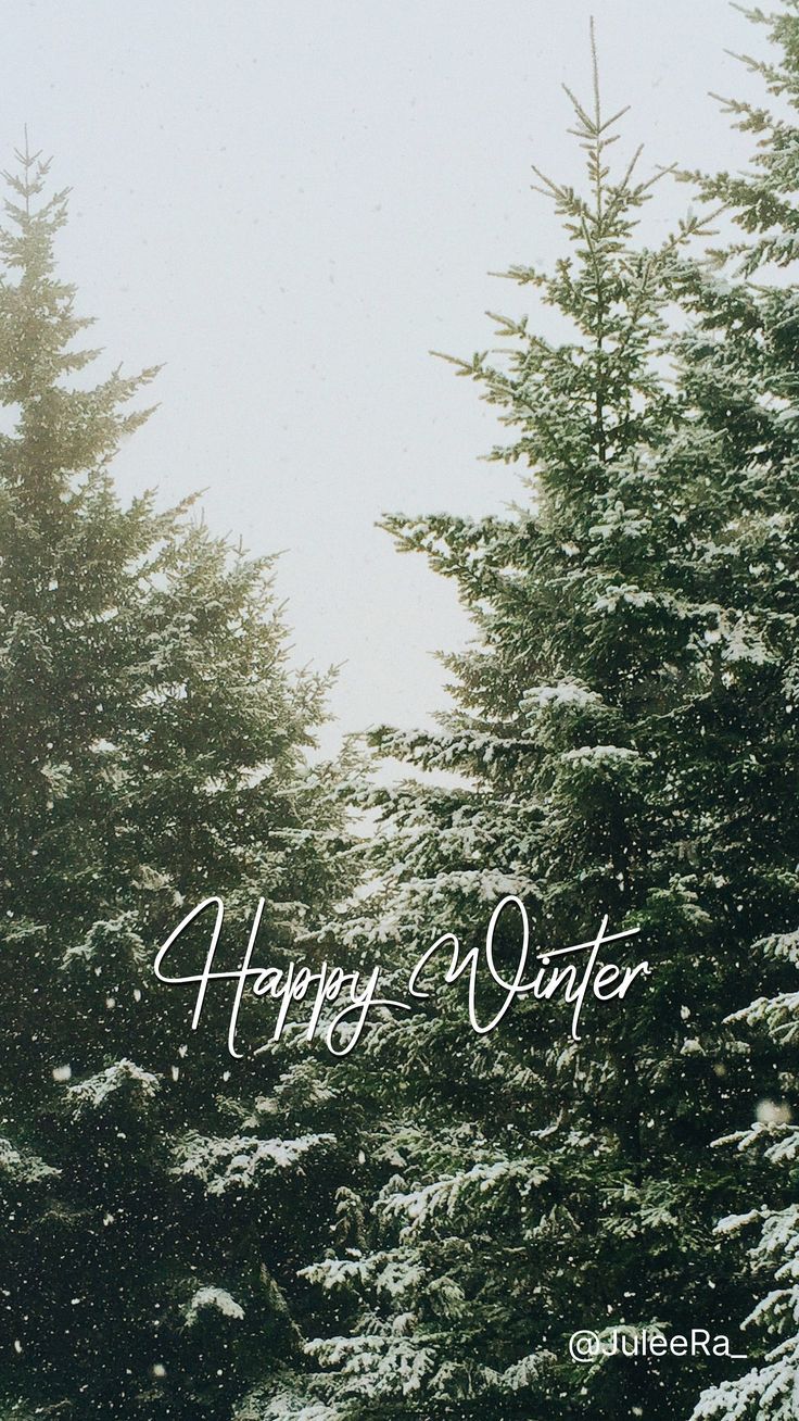 736x1308  Зимние картинки. Уютные цитаты. Обои на телефон | Зимние картинки, Зимняя  фотография, Картинки