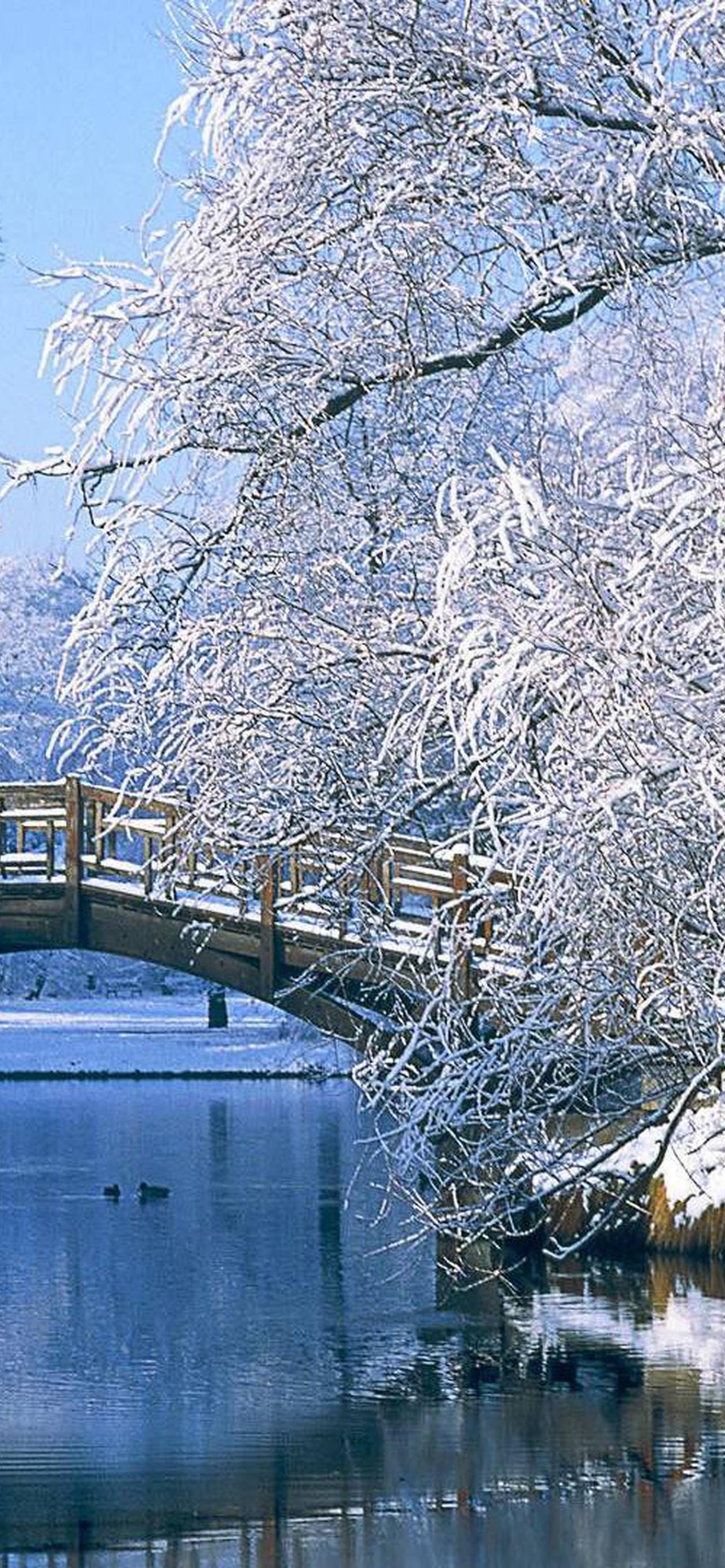 1284x2778  Зима HD обои на телефон [32+ изображений]